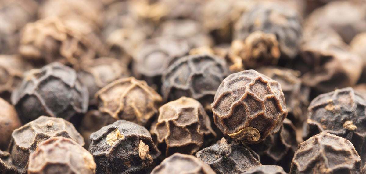 History of Tellicherry Black Pepper Harris Spice